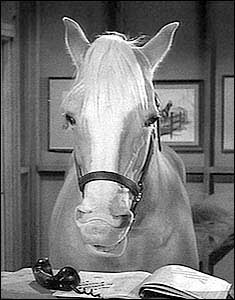 Marjorie Taylor Greene and Mr. Ed